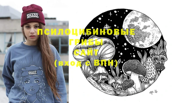 apvp Алексеевка