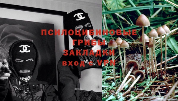 синтетический гашиш Алексин
