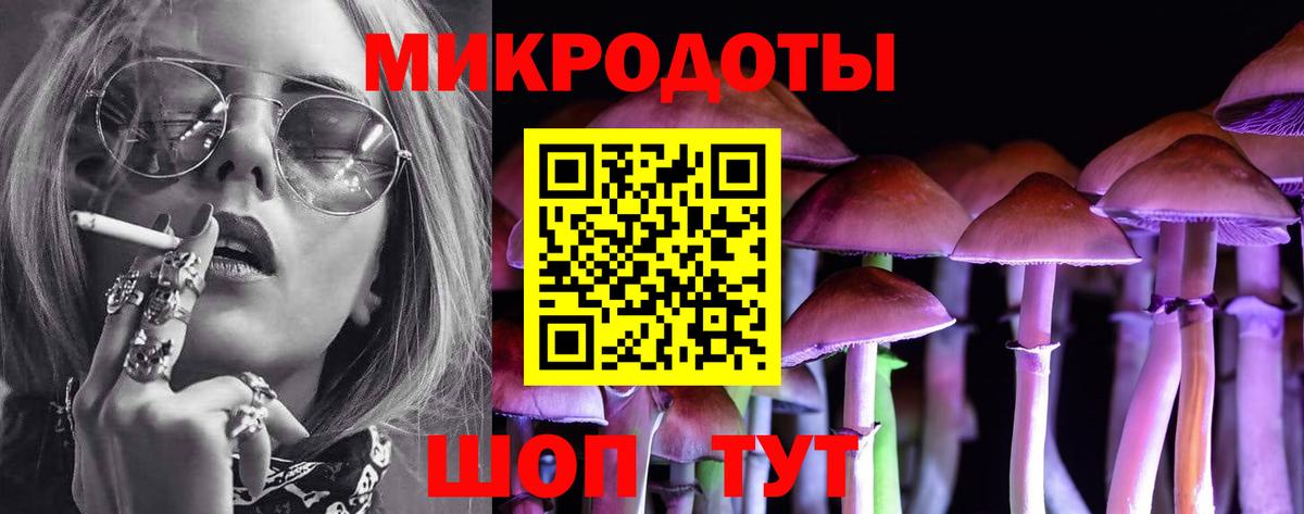 Галлюциногенные грибы GOLDEN TEACHER  Вход с VPN  Тула  где купить наркоту  Галлюциногенные грибы Cubensis 