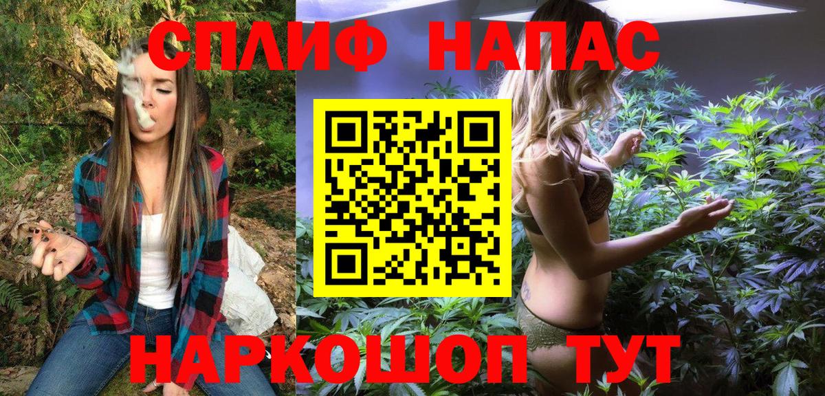 МАРИХУАНА планчик Тула